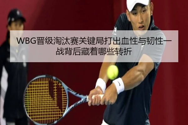 img_1780366412865_141_1_781.jpg